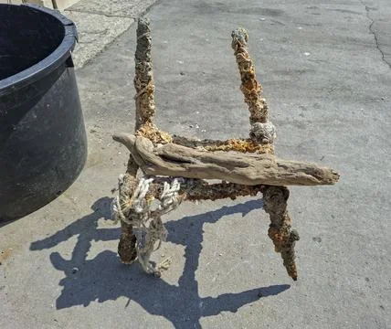Rusty metal frame with barnacles and sea life supporting driftwood on concr.. Stock Photos