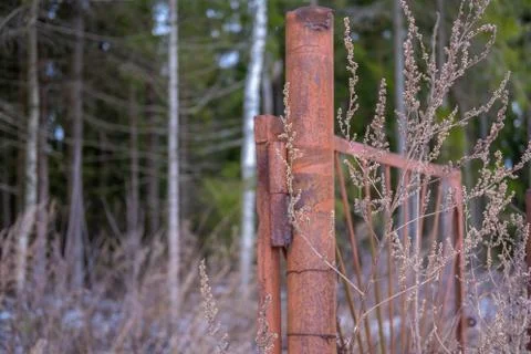 Rusty metal gate. Stock Photos