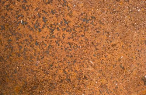 Rusty metal leaf for text textured background Stock Photos