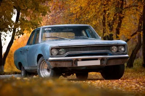 Rusty metal musclecar Plymouth Belvedere in the autumn park Stock Photos