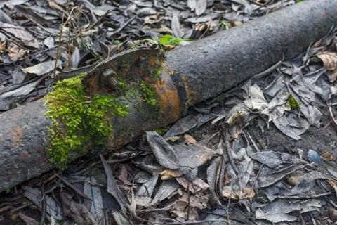 Rusty metal pipe in the forest closeup Stock Photos