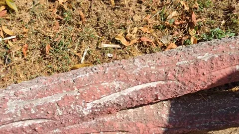 Rusty Metal Pipe in Grass Vídeo Stock 331657713