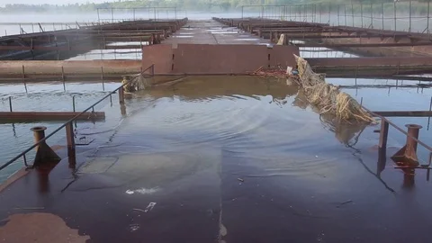 Rusty metal platform flooded in water on the fish farm. Foggy morning. Stock Footage 74265501