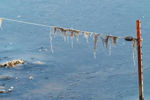 Rusty metal post with rope and seaweed over calm blue water surface Stock Photos
