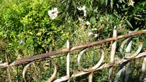 Rusty metal railing with geometric pattern with green plants in the background Stock Footage 143039130