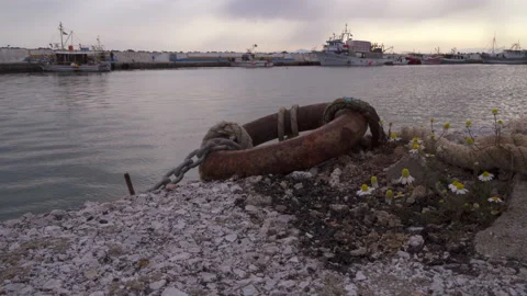 Rusty metal ring Stock Footage 155177087