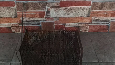 Rusty Metal Rodent Trap Cage on Concrete Floor Stock Footage 336472799