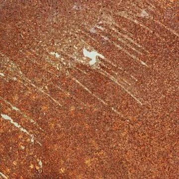 Rusty metal sheet Stock Photos