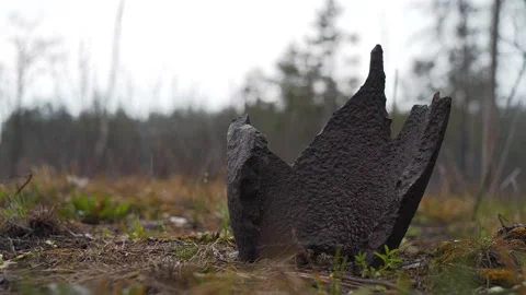 Rusty metal shell splinter lies in the forest in a war zone Video stock 152471711