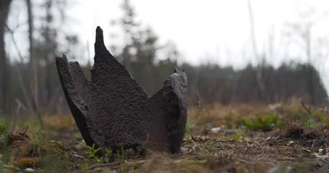 Rusty metal shell splinter lies in the forest in war zone Video stock 152993765