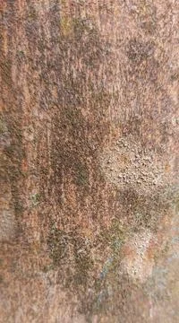 Rusty Metal Surface with Corrosion and Flaking Paint. Stock Photos