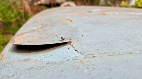 Rusty Metal Surface With Peeling Paint and Corrosion Damage 動画素材 336360676