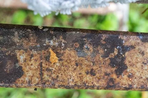 Rusty metal surface with small leaf and green background Stock Photos