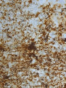 Rusty Metal Surface Texture Background Stock Photos