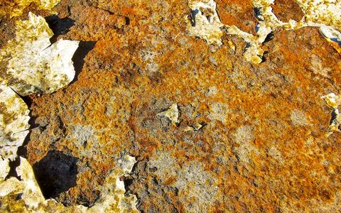 Rusty metal surface with white cracked paint texture pattern Thailand. Stock Photos