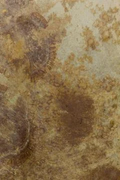 Rusty metal texture background Stock Photos