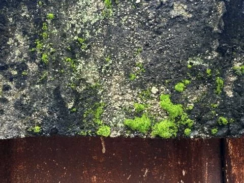 Rusty Metal Texture Background Stock Photos