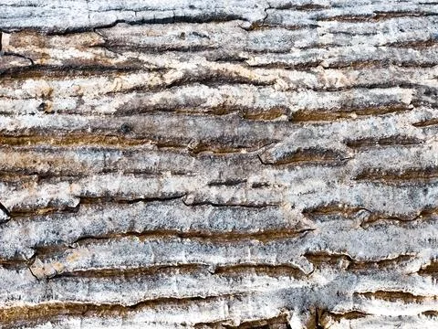 Rusty metal texture, old rusty metal background, abstract metal wallpaper Stock Photos