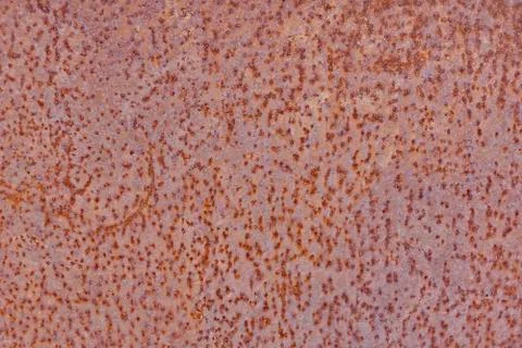 Rusty metal texture Stock Photos