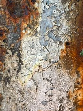 Rusty metal texture Stock Photos