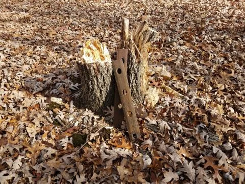 Rusty metal on tree trunk with brown fallen leaves Stock Photos