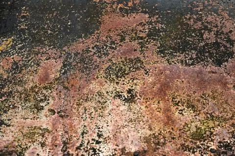 Rusty metal wall. Background of old metal Foto stock
