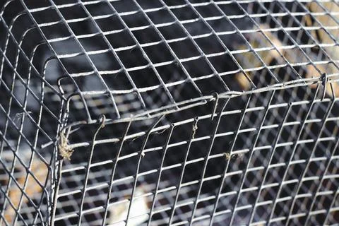 Rusty metallic grid Stock Photos