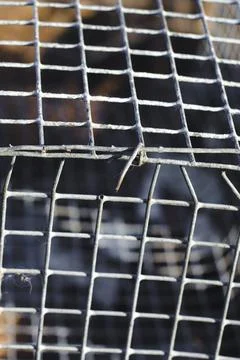 Rusty metallic grid Stock Photos