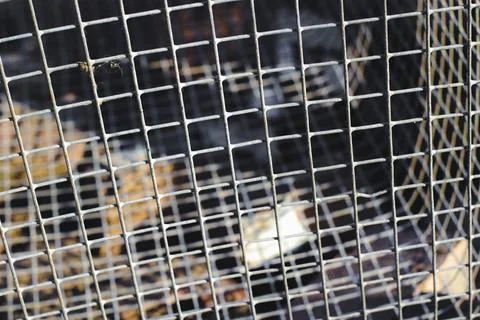 Rusty metallic grid Stock Photos