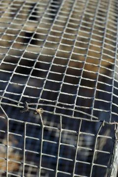 Rusty metallic grid Stock Photos