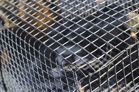 Rusty metallic grid Stock Photos