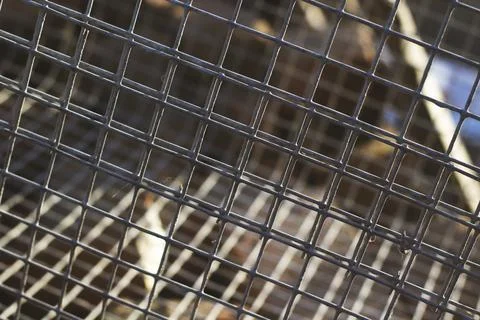 Rusty metallic grid Stock Photos