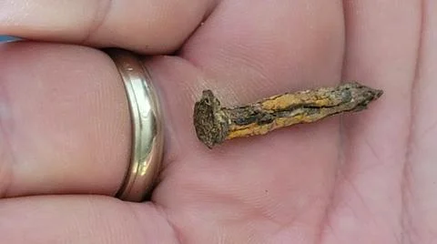 Rusty nail in hand Stock-Fotos