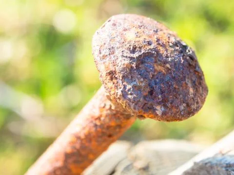 Rusty nail wood Stock Photos