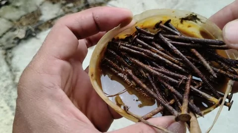 "Rusty Nails in Containers: The Art of Time Resisting" Stock Footage 298526020