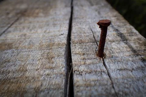 Rusty nails embedded in the surface of wooden planks Stock Photos