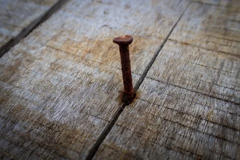 Rusty nails embedded in the surface of wooden planks Stock Photos