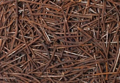Rusty nails. Stock Photos
