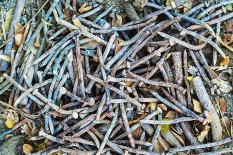 Rusty nails, staples, screws Stock Photos