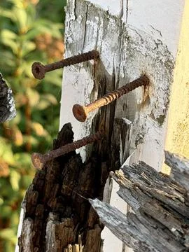 Rusty Nails in Weathered Wood Stock Photos