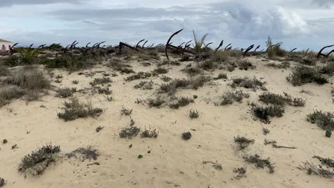 Rusty old anchors on the beach at an anchor cemetery Stock Footage 141161878