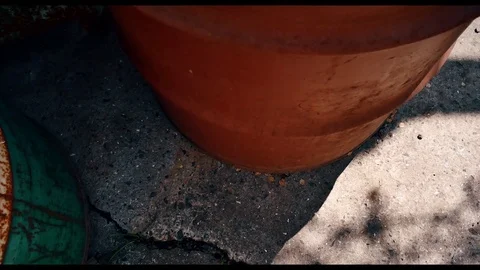 Rusty old barrel with water Stock Footage 78628715