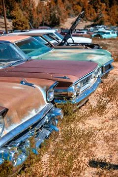 Rusty old cars under a blue sky. Old vintage vehicles in the countryside Stock Photos