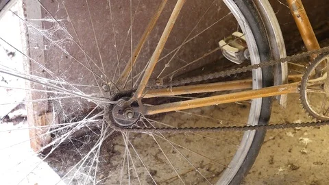 Rusty old drive chain of a bicycle 動画素材 88828646