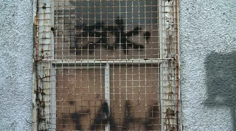 Rusty Old Graffiti Bent Graffiti Clad Window Grating Zoom Out Stock Footage 16258165