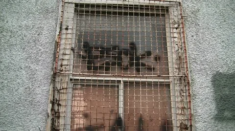 Rusty Old Graffiti Clad Window Grating Pan Down Stock Footage 16284350