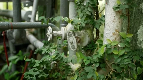 Rusty old pipes and pipe valve overgrown with greenery post-apoalyptic picture Stock Footage 158680851
