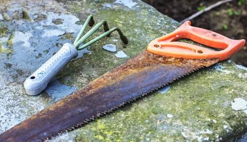 Rusty old saw garden tool, garden Stock Photos