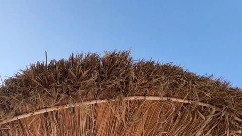 Rusty old thatched umbrella in Mallorca this summer in cala major with some Video stock 122170780