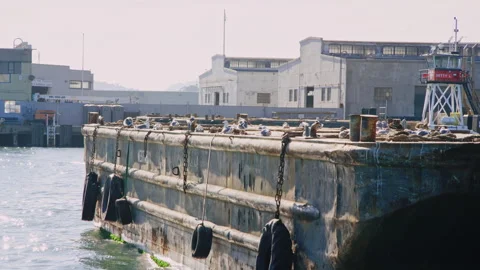 Rusty old transport barge vessel rests at dock in port on bright afternoon Vidéo 242862907